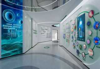 上海发条弹簧供应商