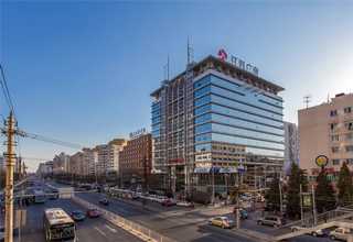 吨包马铃薯颗粒粉哪家好