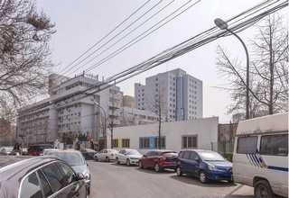 苏州直塑水泥假山哪家好